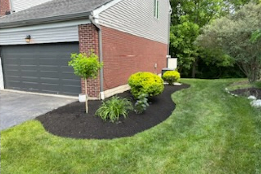 Landscape Maintenance