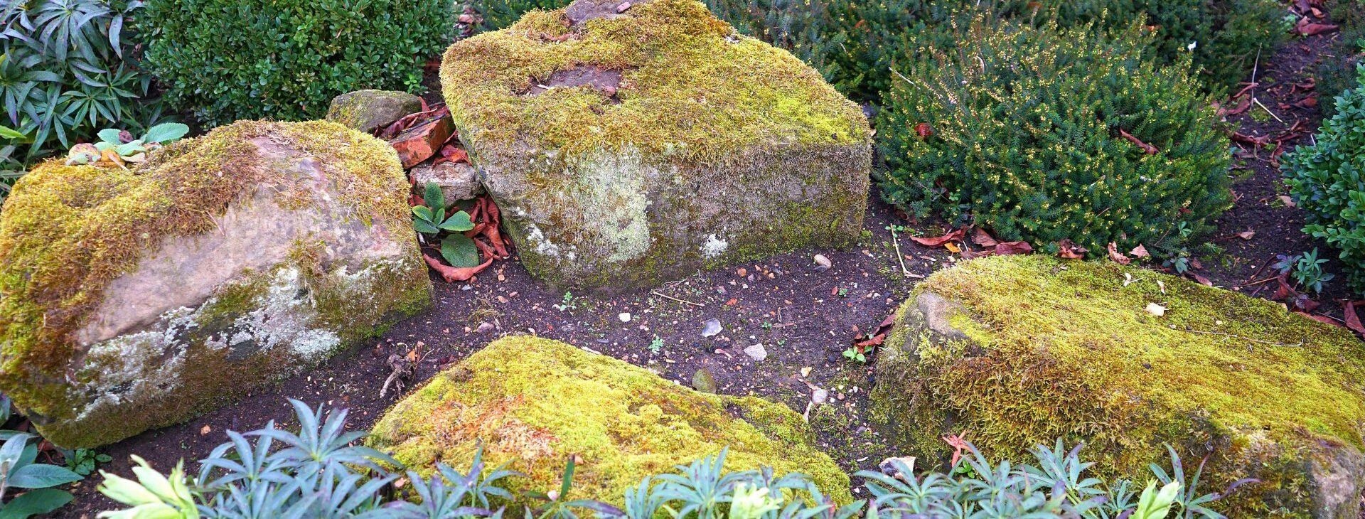 Unmatched Landscaping
Expertise and Service