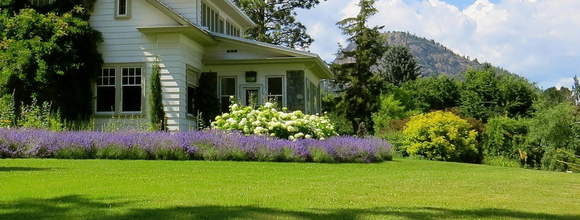 Tailored Landscaping Solutions
for Every Need